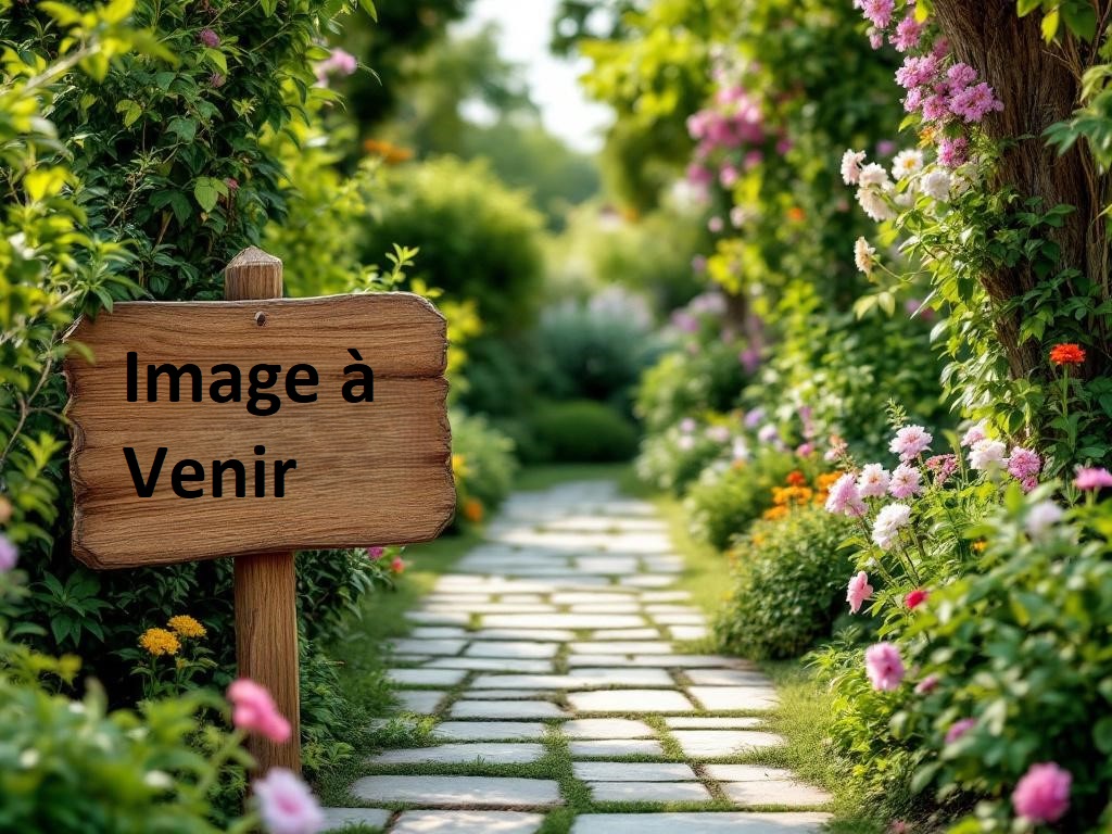 Gaël BIET - Fondateur des Serres de Mitry